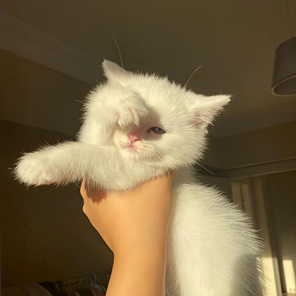 ‎#ليس قوة خارقة