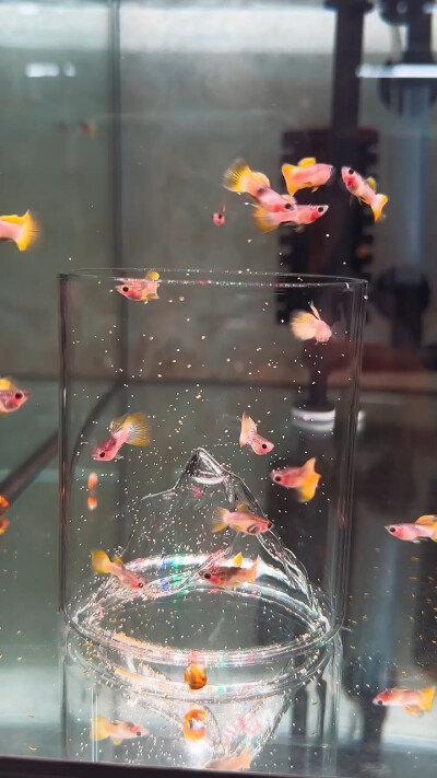 雨天：小清新女头像