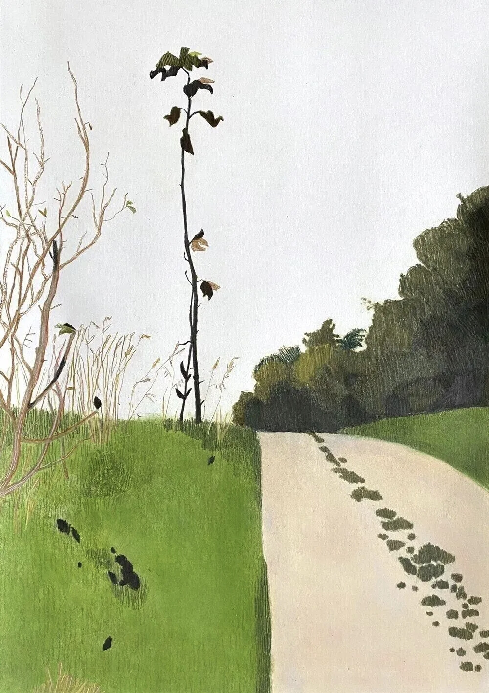 
他的艺术创作非常专注，其作品以独特的简约气质，在北欧现代主义绘画中占据独特地位。他的创作方法来源于对自然景观的深刻观察与内心转化。他常常描绘海景、天空、土地等自然主题，但摒弃了繁琐的细节。他的画布上，形态被高度简化，色彩被提炼为几个关键色域，笔触宽阔有序，富有呼吸感。他的创作从野外速写开始，仅用铅笔和纸张，细致入微地捕捉周遭环境的形态与情绪。回到工作室，再将这些印象转化为大型作品，以彩色铅笔、石墨和粉笔为媒介。通过大面积柔和却鲜明的笔触，将生命中的喜悦与悲戚逐渐凝固显现。他擅长运用微妙、低饱和度的色调，营造出光线弥散、空气流动的静谧氛围，画面介于抽象与具象之间。他的创作理念关乎“本质”与“心境”。过程并非复制自然的外貌，而是捕捉其内在的精神性与永恒感。他的画作内敛，使观者进入一种冥想空间。剥离喧嚣，呈现出经过沉淀的、朴素的真实性，如同一段视觉的山歌，在简约的形式下蕴含着生命的情感。
