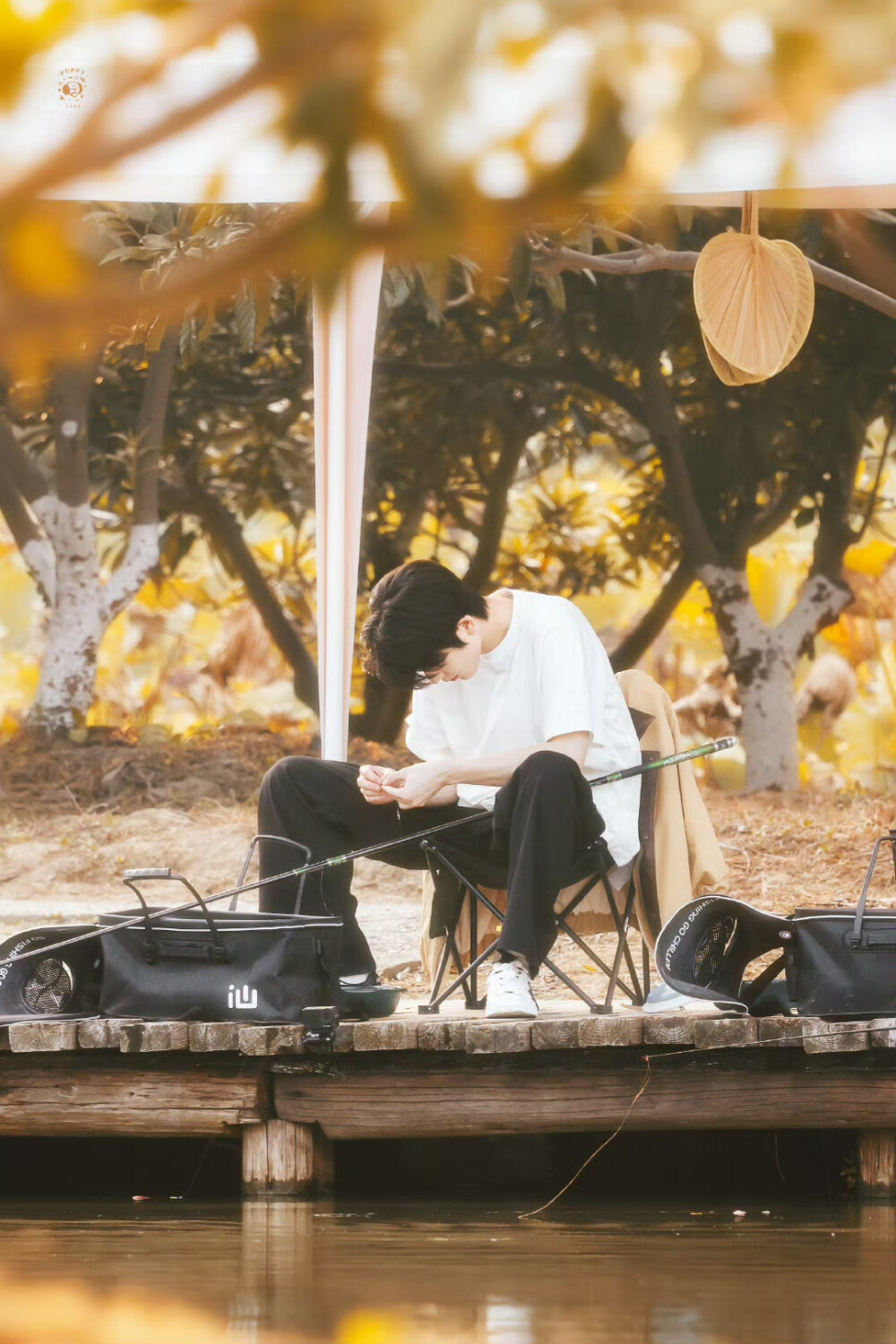 cr.PUPPY1230丨张凌赫