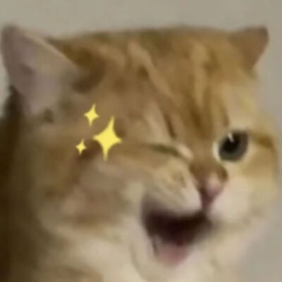 猫咪表情包