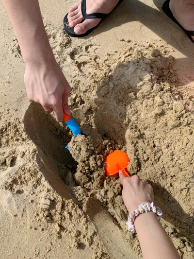 加纳了所有的大家，我把自己埋好了，明年就能长成大树