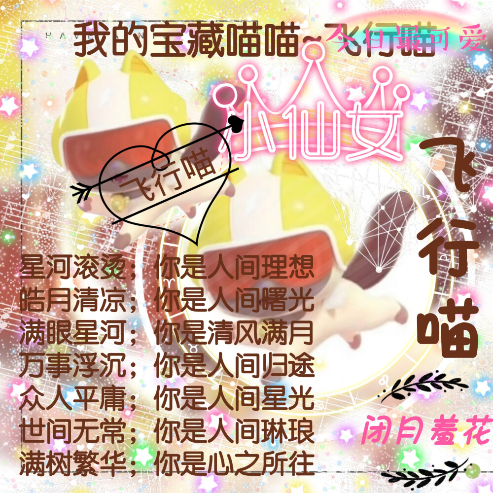 飞行喵的美图来啦
