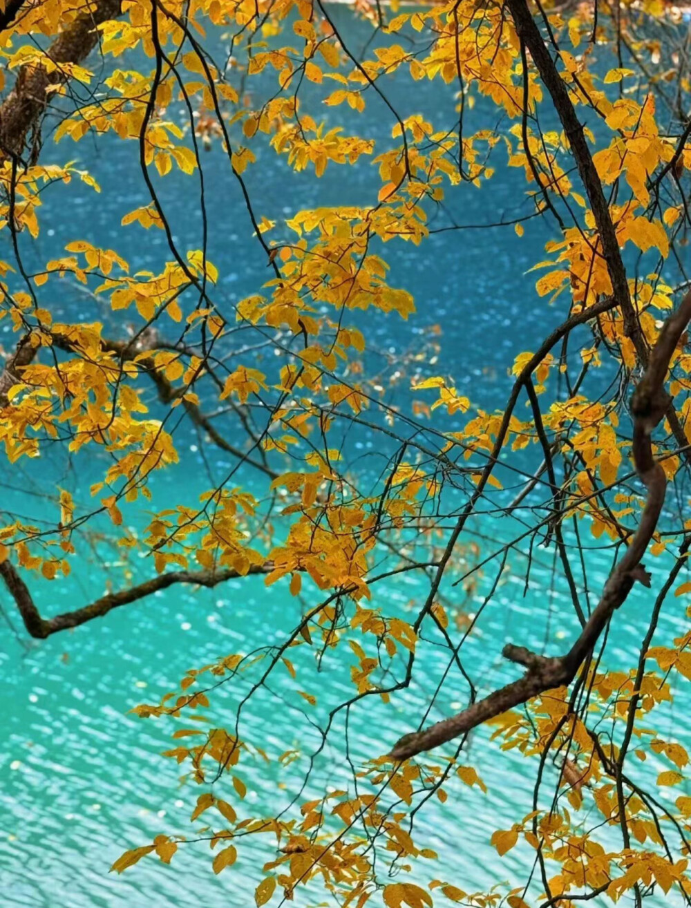 秋日九寨，梦回人间瑶池