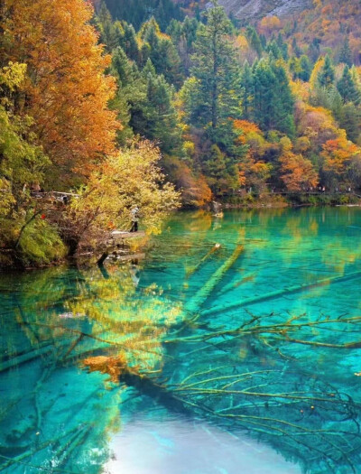 秋日九寨，梦回人间瑶池