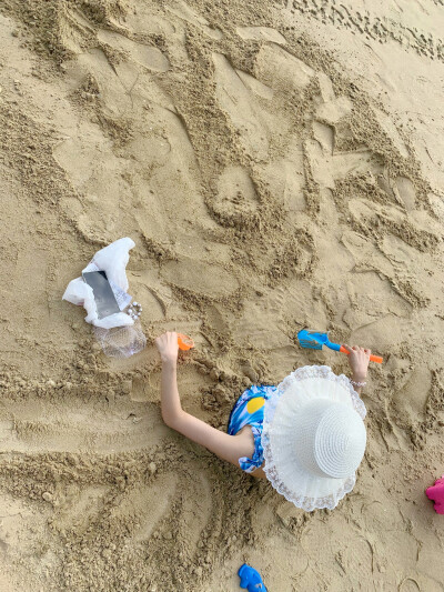 加纳了所有的大家，我把自己埋好了，明年就能长成大树