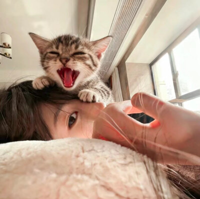 各种各样的女头1