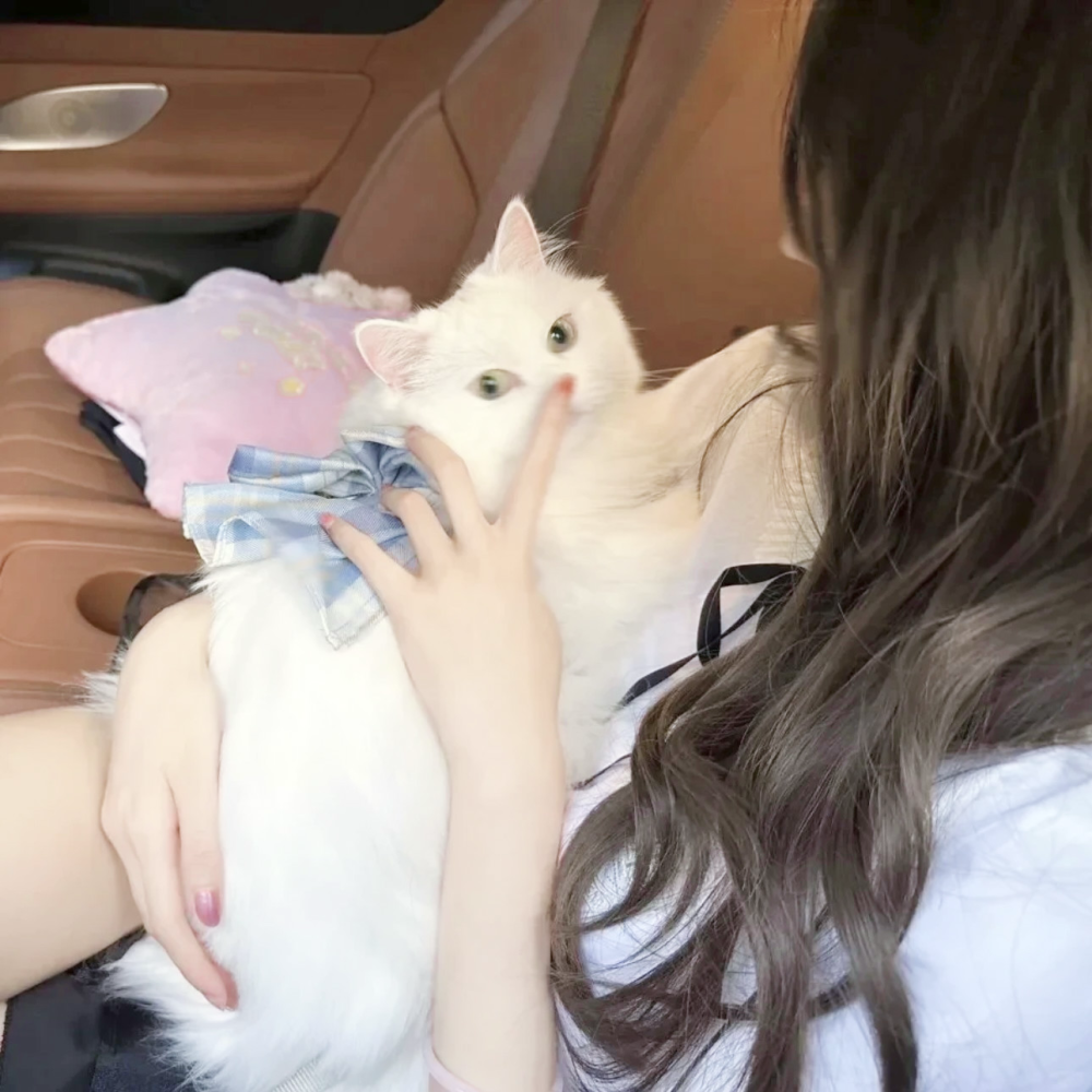 这感情不值得我犹豫