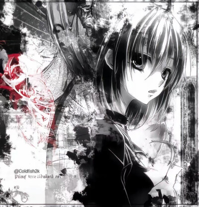 各种各样的女头2