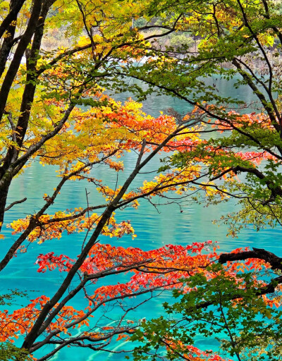 秋日九寨，梦回人间瑶池