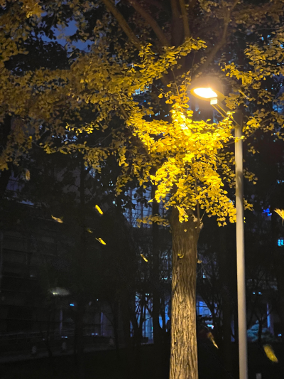 雨天：小清新女头像