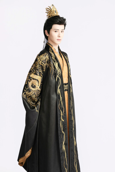 惊鸿鹂影照心舟 况隐舟