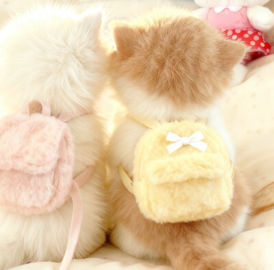 我的萌天下无双