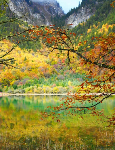 秋日九寨，梦回人间瑶池