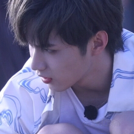 你问我为什么顽固而专一