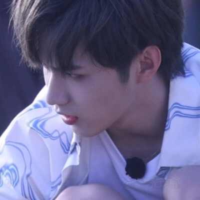 你问我为什么顽固而专一