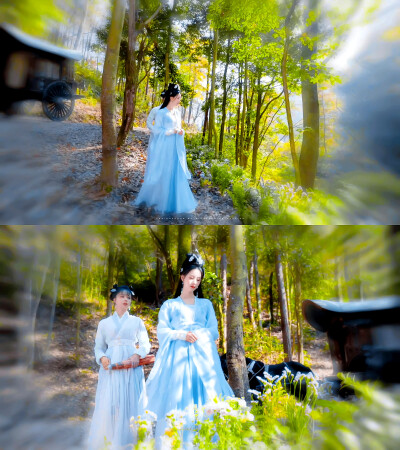 陈都灵叶冰裳
cr：青澎汀絮