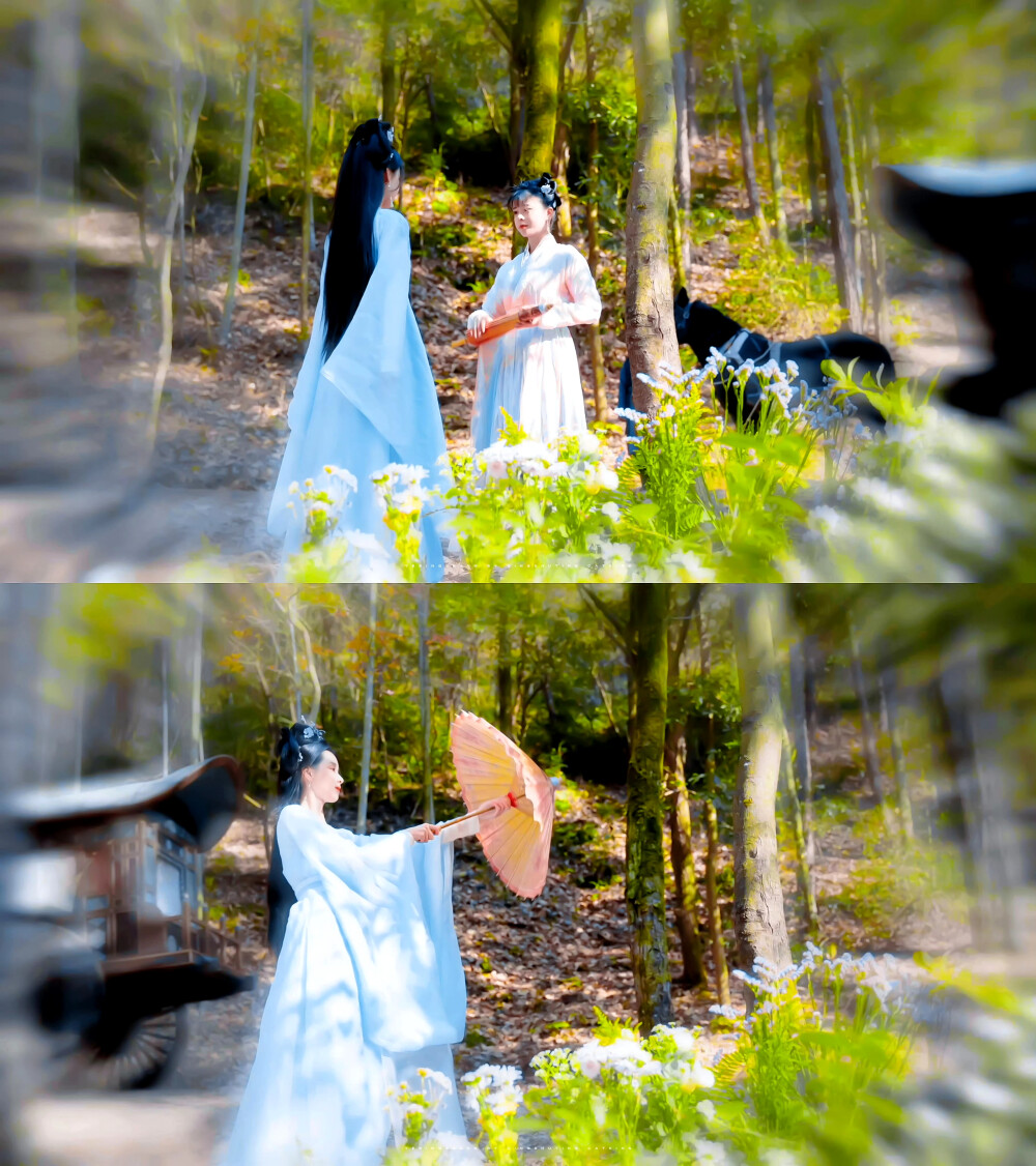 陈都灵叶冰裳
cr：青澎汀絮