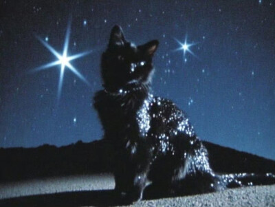 谁都能拍张好照片