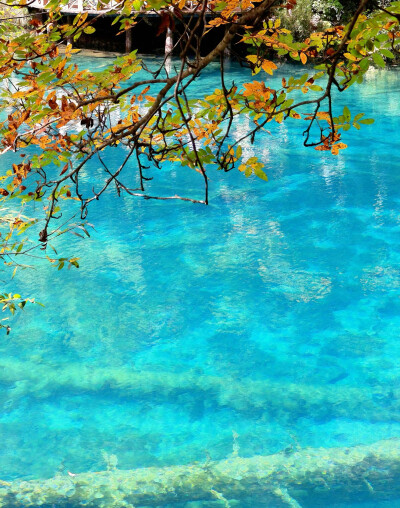 秋日九寨，梦回人间瑶池