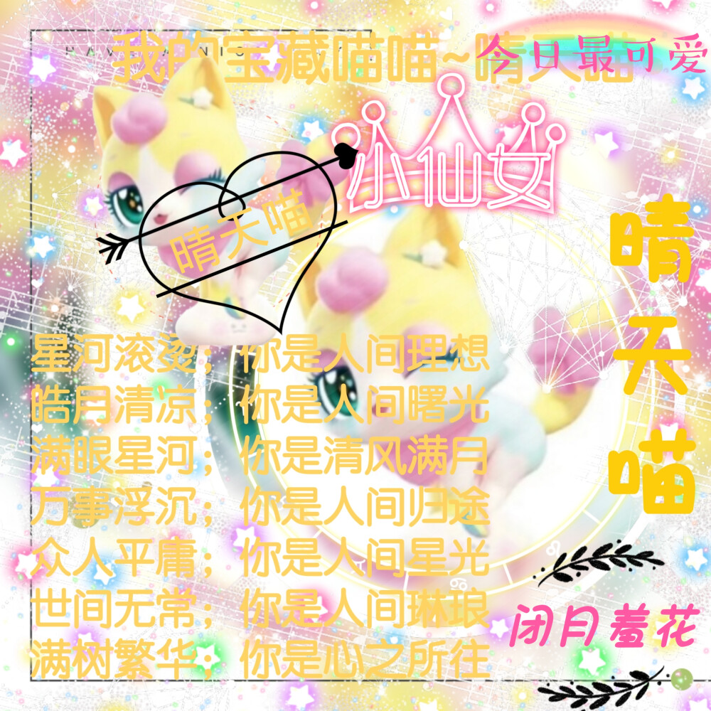 晴天喵的美图来啦