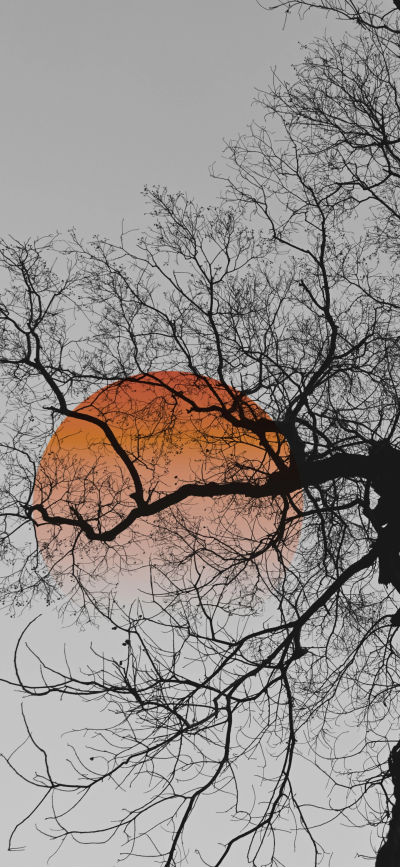 ‎#ليس قوة خارقة