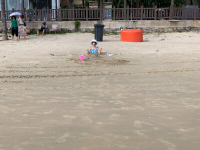 加纳了所有的大家，我把自己埋好了，明年就能长成大树