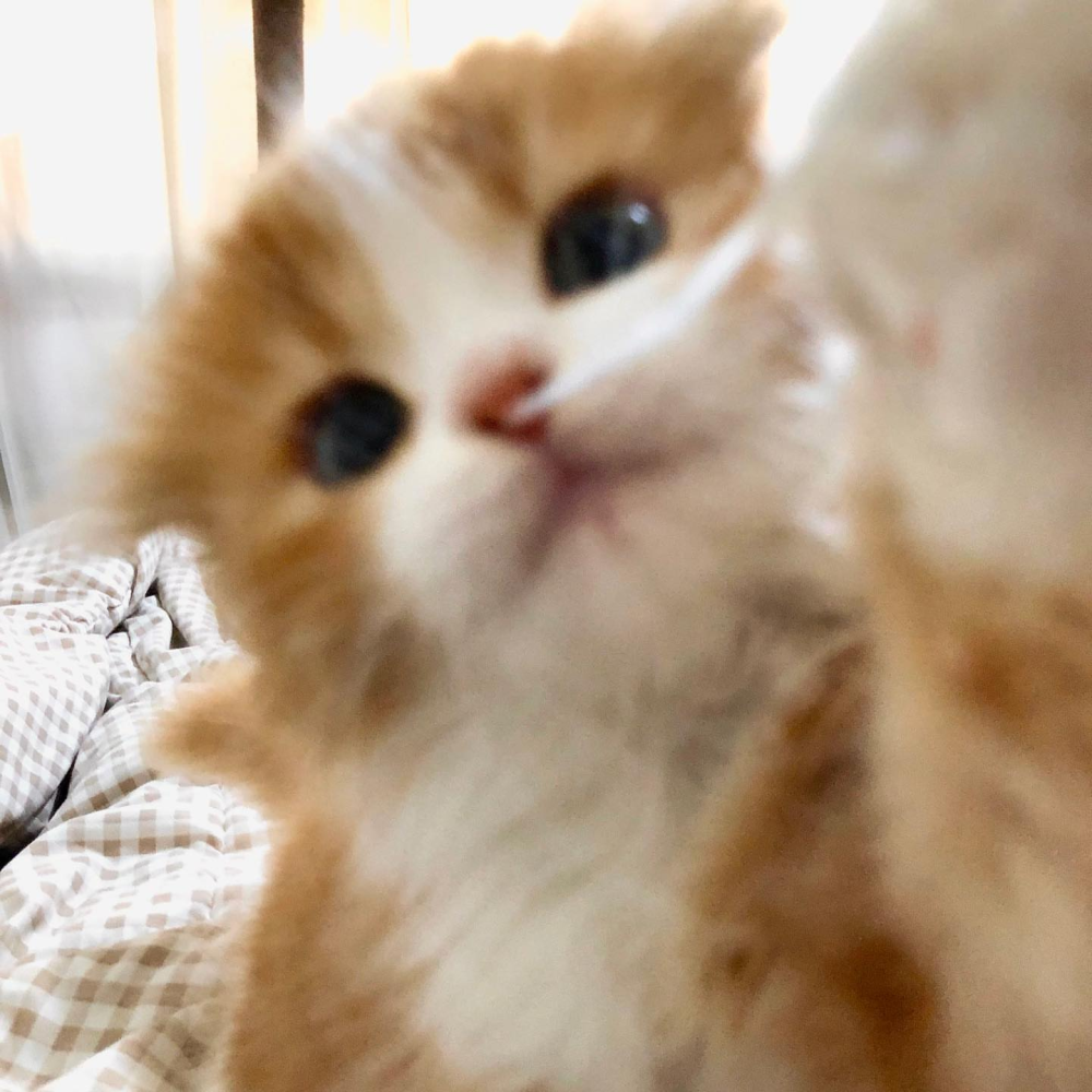 ‎#ليس قوة خارقة