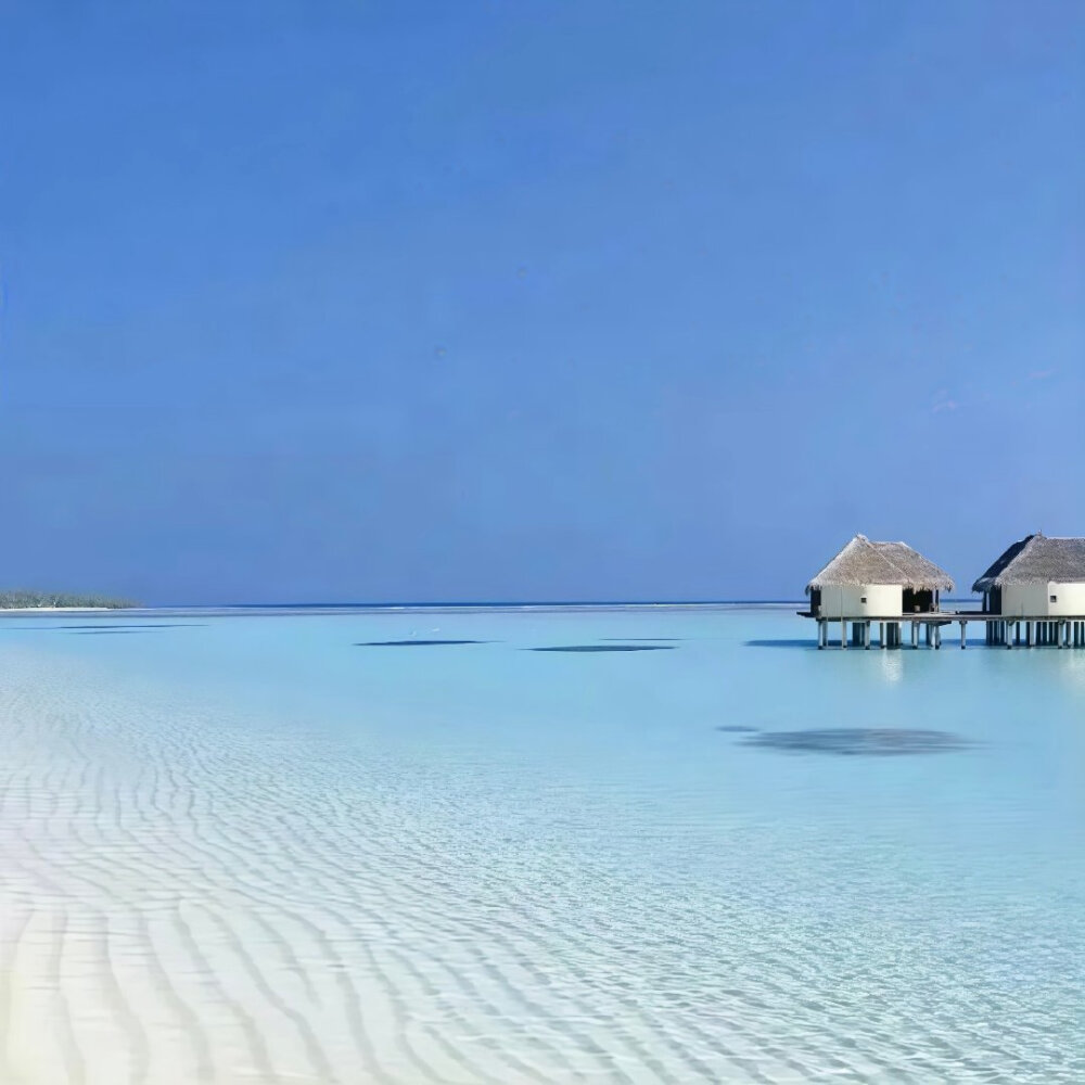 女生头像背景图搭配