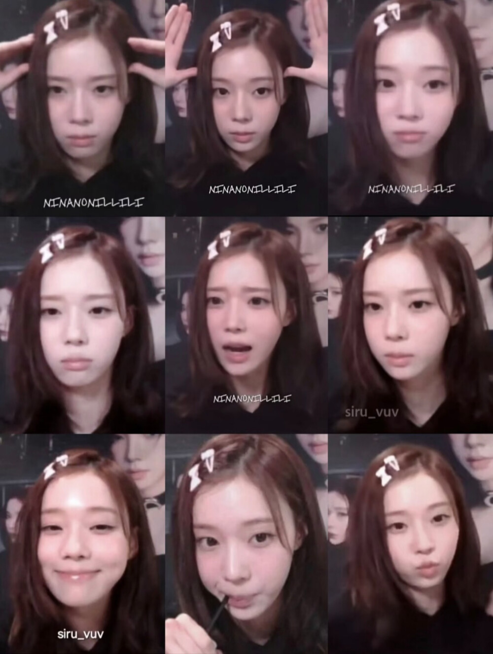 狗塑达人更新了一则萌宠相关！