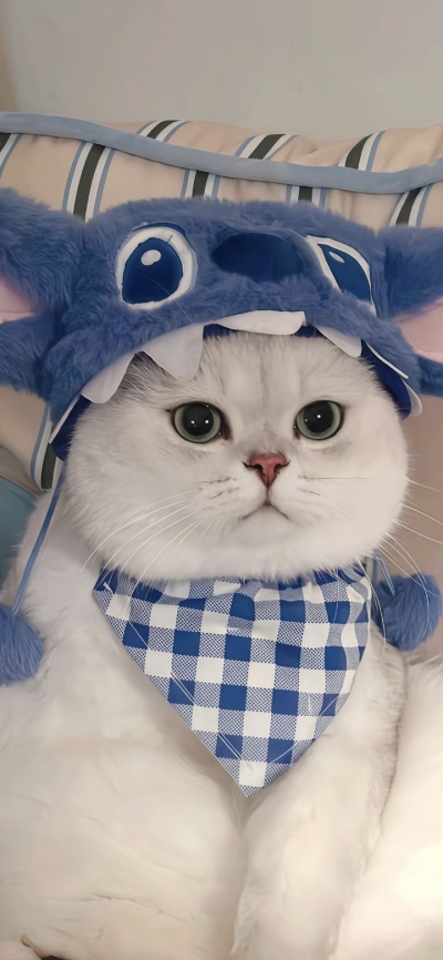 我是不会放弃收集这种图片的