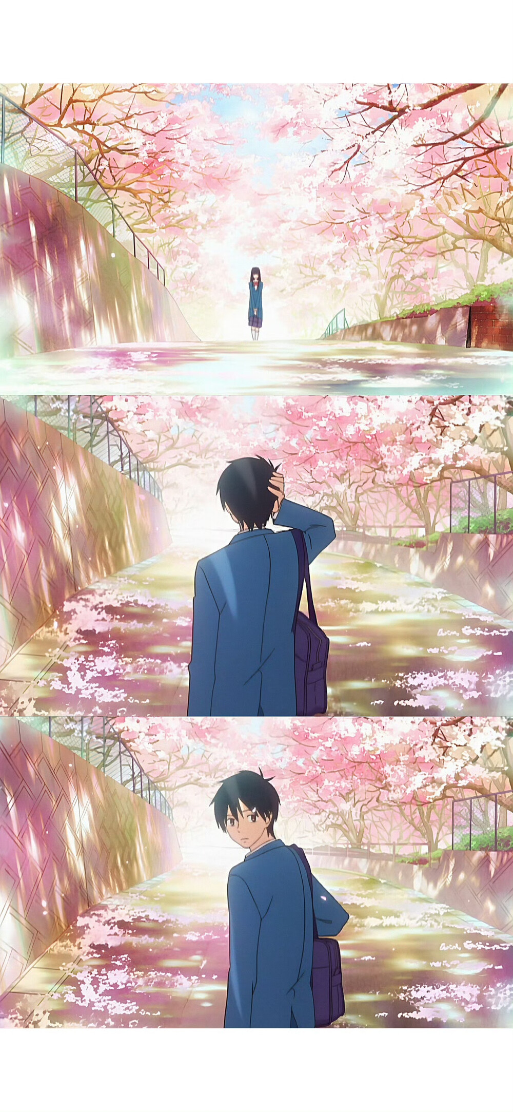 好想告诉你壁纸