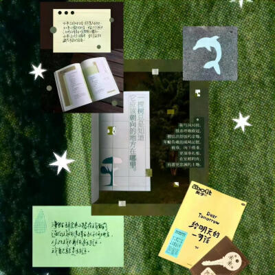 谁说可可西里没有海