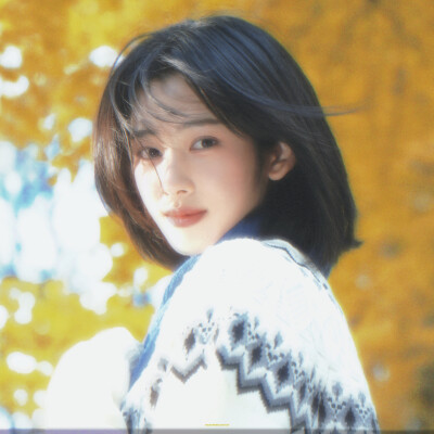 秋刀鱼的滋味 猫 和你 都想了解
