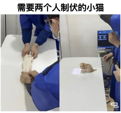 我是不会放弃收集这种图片的