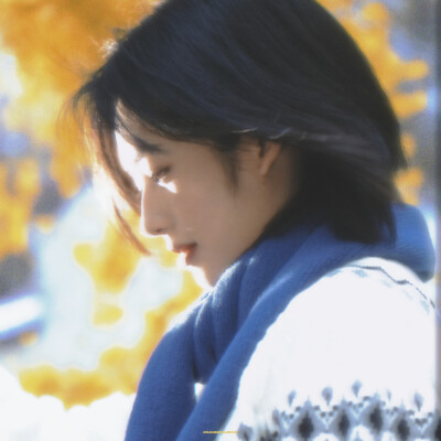 秋刀鱼的滋味 猫 和你 都想了解
