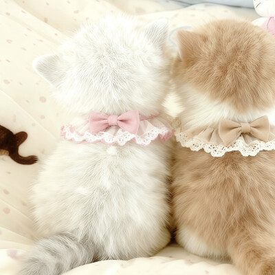 雅雅的图（拿图收藏点赞关注 白嫖滚）