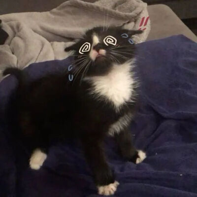 我是不会放弃收集这种图片的