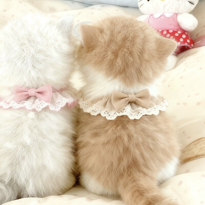 雅雅的图（拿图收藏点赞关注 白嫖滚）