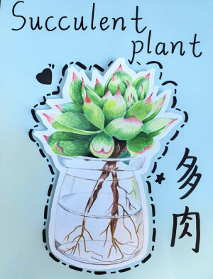 彩铅