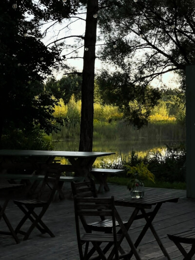 日常
我答应好自己，停止回忆自己的痛苦。