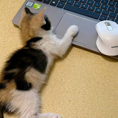 图源ks：偷喝汽水