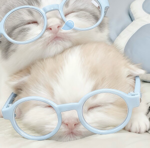 我的萌天下无双