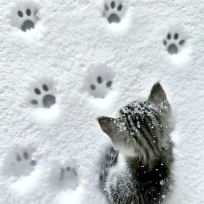 图源ks：偷喝汽水