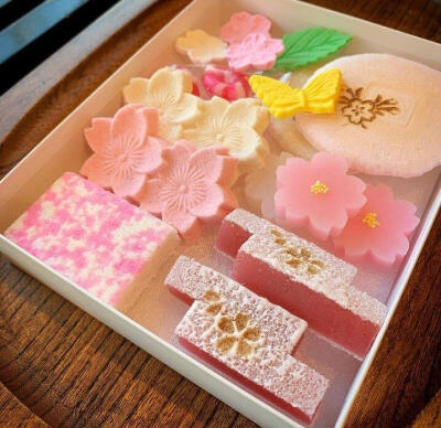 日式糕点 和菓子 半生菓子