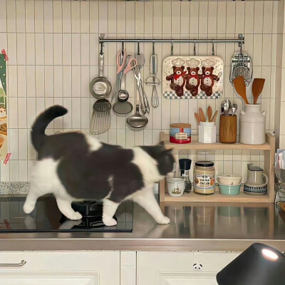 在某个瞬间存在且唯一