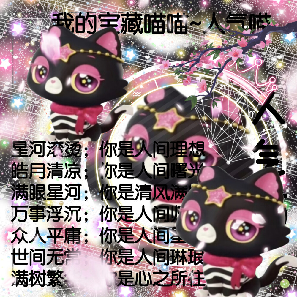 人气喵的美图来啦