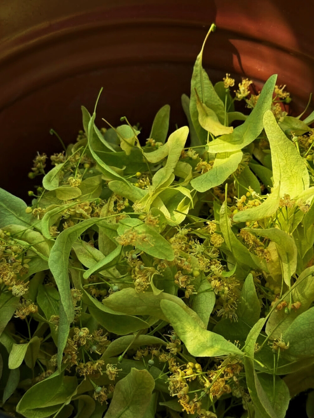 日常
我答应好自己，停止回忆自己的痛苦。