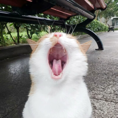 图源ks：偷喝汽水