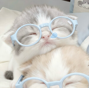 我的萌天下无双